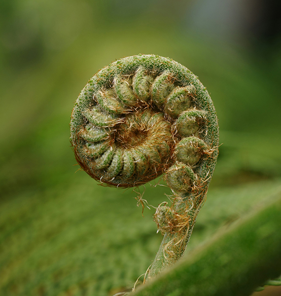 Alison1_0002_naoki-suzuki-9c994Tejk0U-unsplash